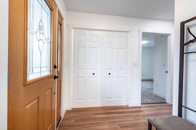 entryway featuring wood-type flooring