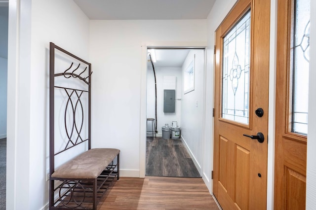 entryway with a wealth of natural light, electric panel, and hardwood / wood-style flooring