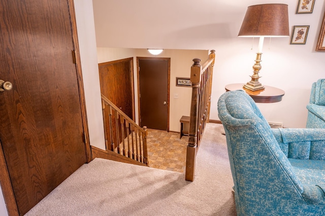 stairway with carpet floors