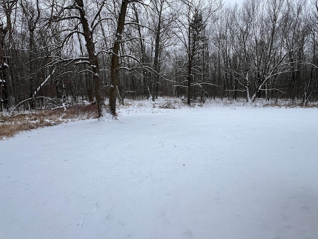 view of snowy yard