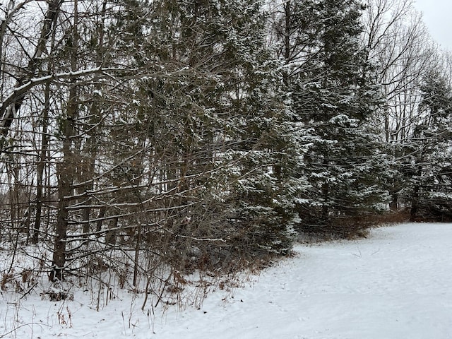 view of snowy view