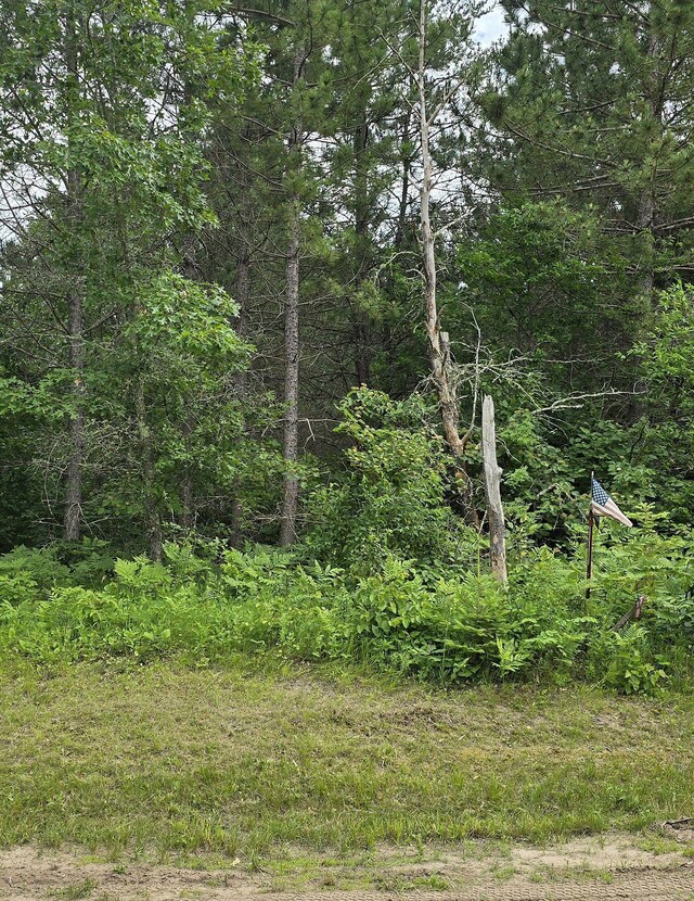 30945 Vahalla Ln, Cass Lake, MN 56633 - photo 5