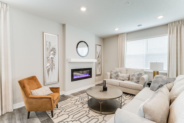 living room with wood-type flooring