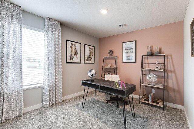 carpeted office space featuring a healthy amount of sunlight