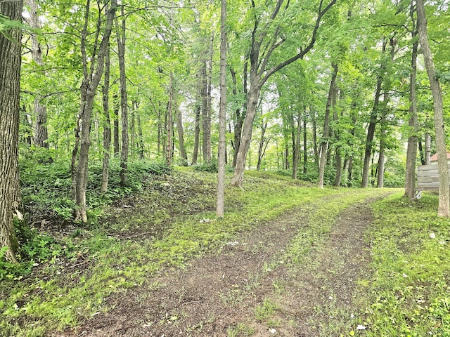 Listing photo 2 for TBD E Grace St, Isle MN 56342