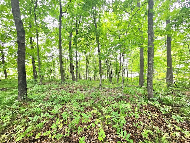 TBD E Grace St, Isle, MN 56342 - photo 3