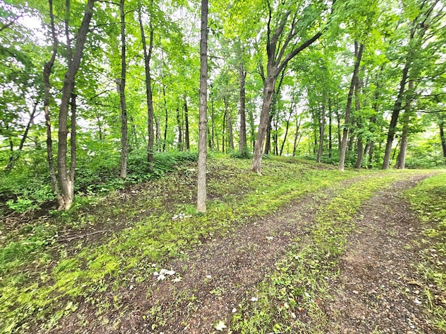 TBD E Grace St, Isle, MN 56342 - photo 4