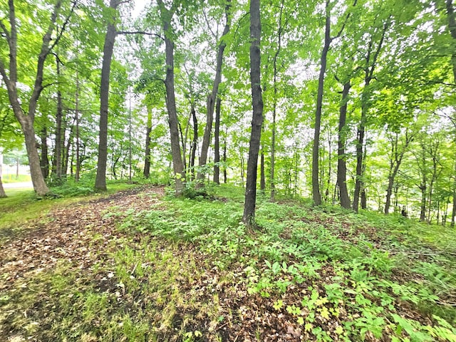 TBD E Grace St, Isle, MN 56342 - photo 5