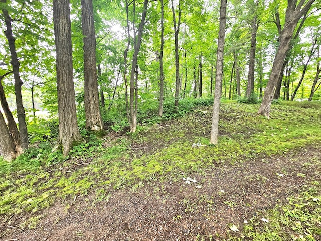 TBD E Grace St, Isle, MN 56342 - photo 8