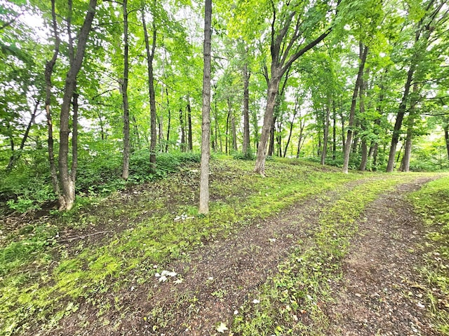 TBD E Grace St, Isle, MN 56342 - photo 9