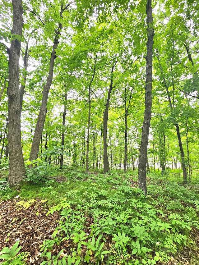 TBD E Grace St, Isle, MN 56342 - photo 11