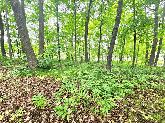 TBD E Grace St, Isle, MN 56342 - photo 12