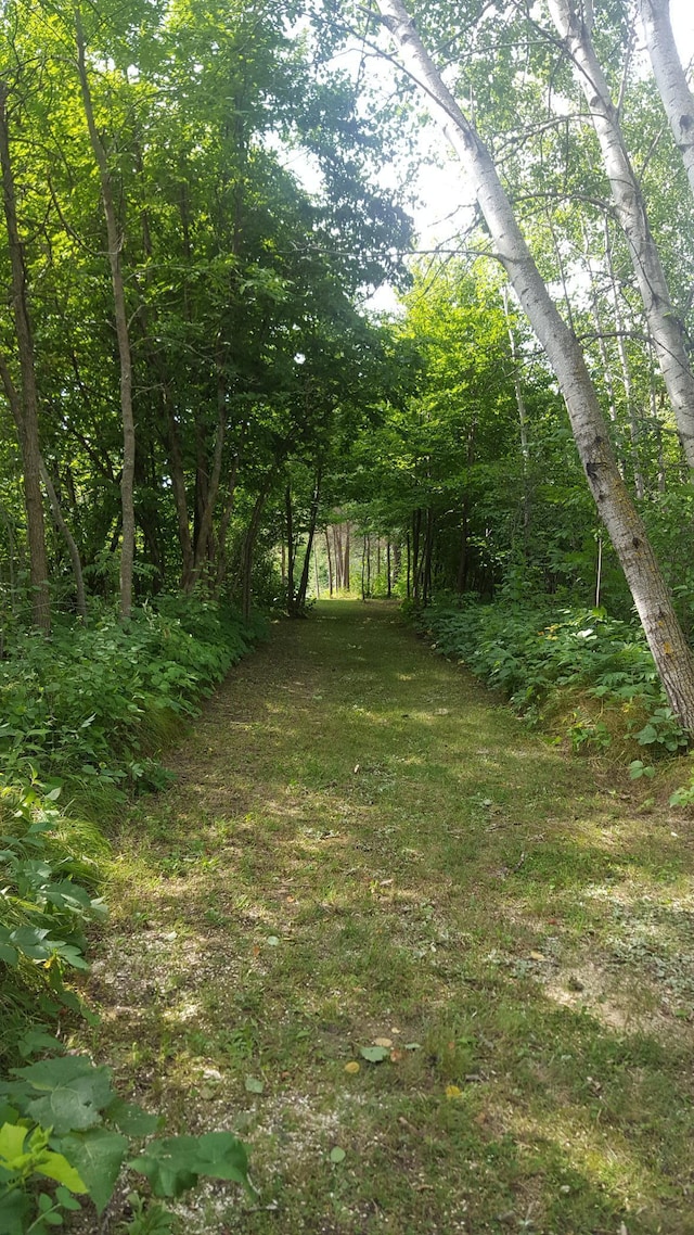 view of landscape