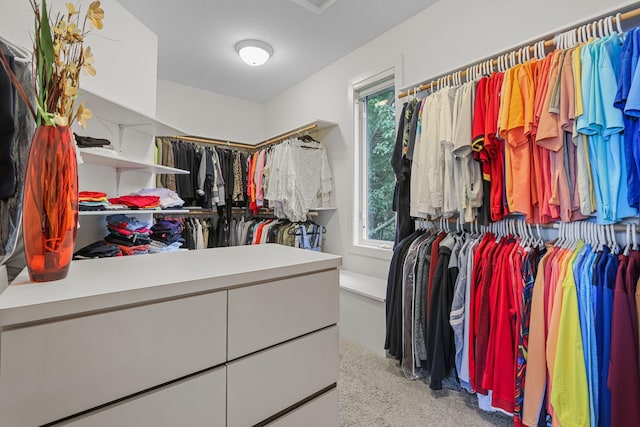 walk in closet with light carpet