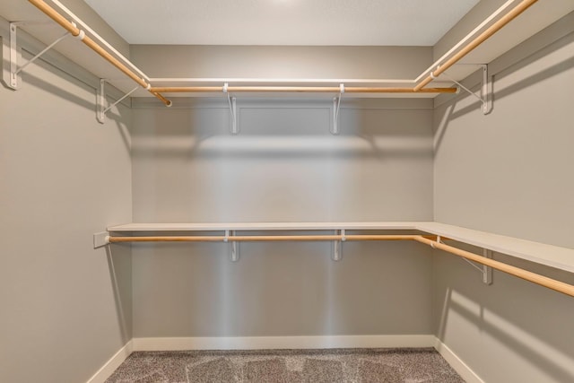 spacious closet with carpet floors