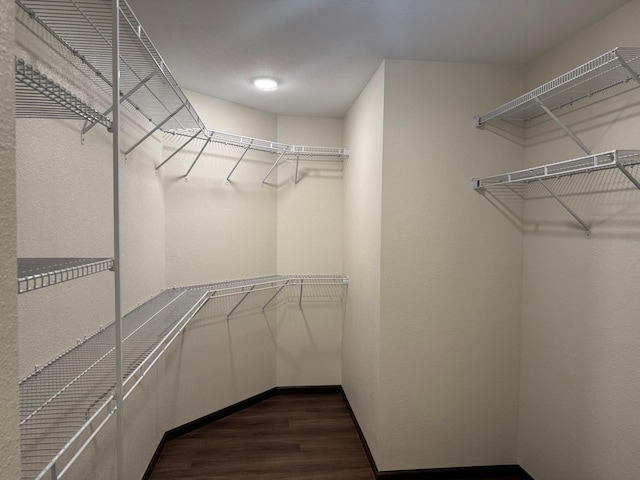 1615 30th St NW Unit 31, Bemidji, MN 56601 - walk in closet with dark wood-type flooring