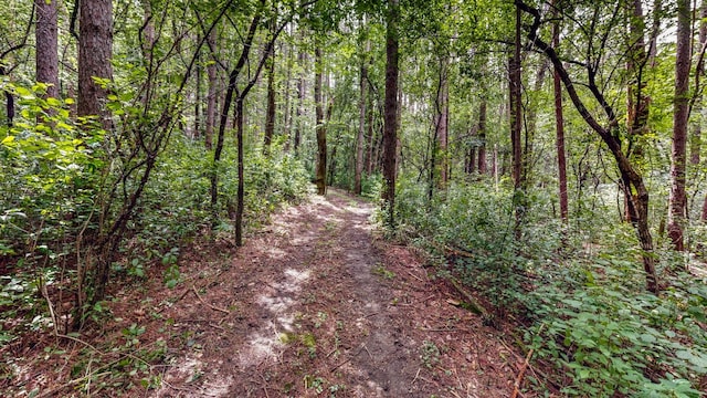 TBD 75th St NW, Oronoco Twp, MN 55901