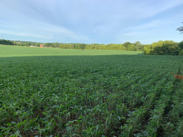 TBD 75th St NW, Oronoco Twp, MN 55901