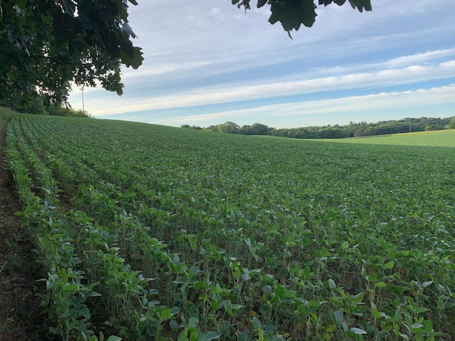 TBD 75th St NW, Oronoco Twp, MN 55901