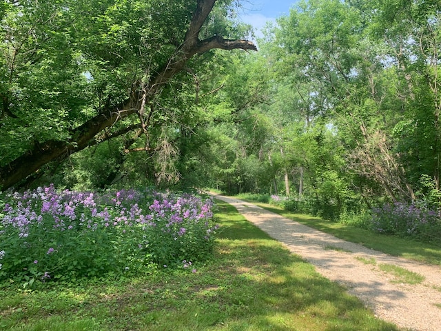 TBD 75th St NW, Oronoco Twp, MN 55901