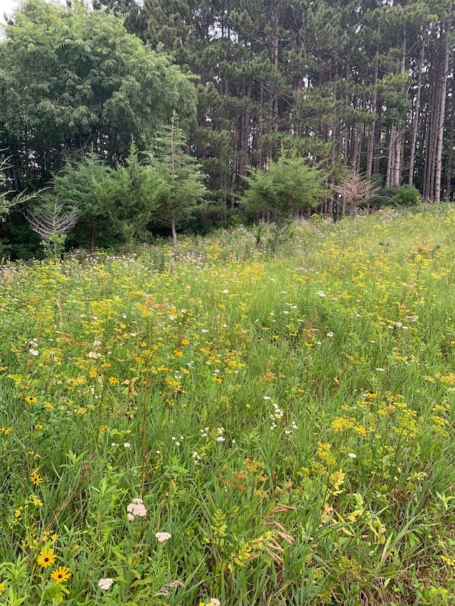 TBD 75th St NW, Oronoco Twp, MN 55901