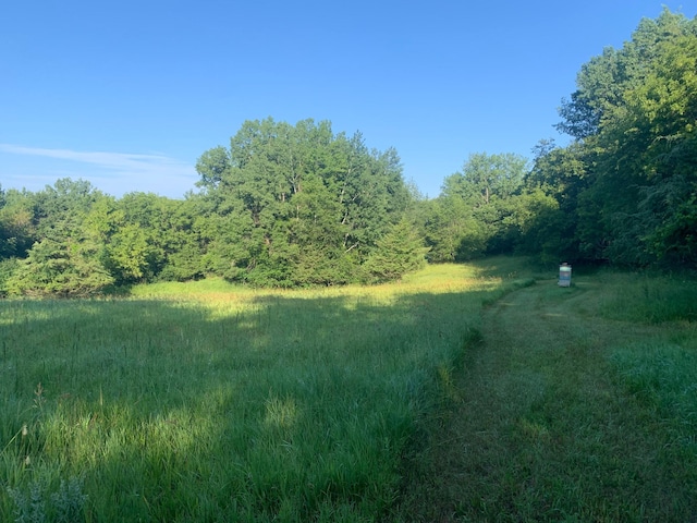 TBD 75th St NW, Oronoco Twp, MN 55901