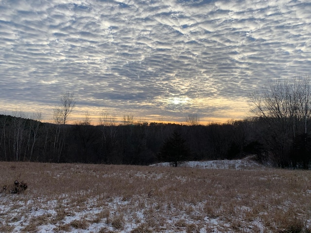 TBD 75th St NW, Oronoco Twp, MN 55901