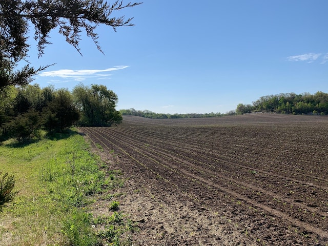 TBD 75th St NW, Oronoco Twp, MN 55901