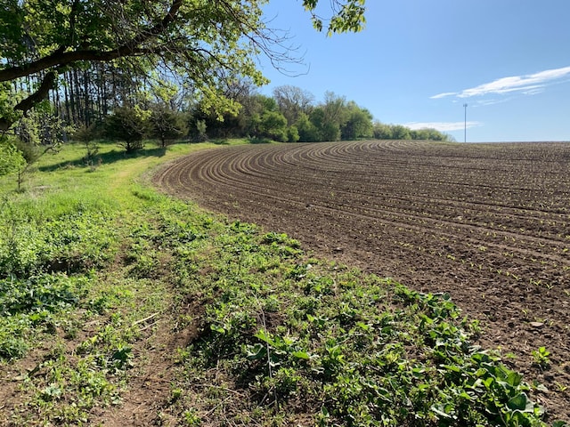 TBD 75th St NW, Oronoco Twp, MN 55901