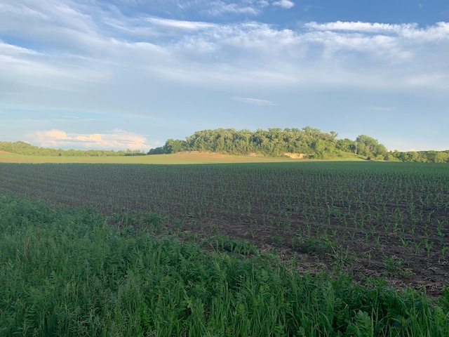 TBD 75th St NW, Oronoco Twp, MN 55901