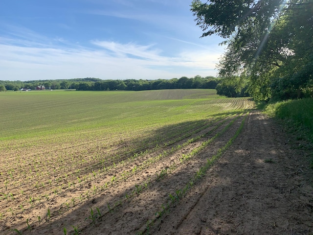 TBD 75th St NW, Oronoco Twp, MN 55901