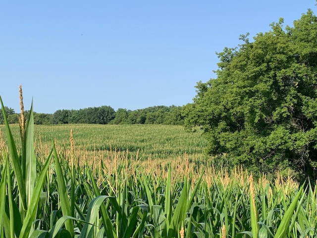 TBD 75th St NW, Oronoco Twp, MN 55901