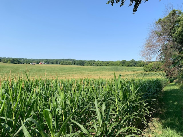 TBD 75th St NW, Oronoco Twp, MN 55901