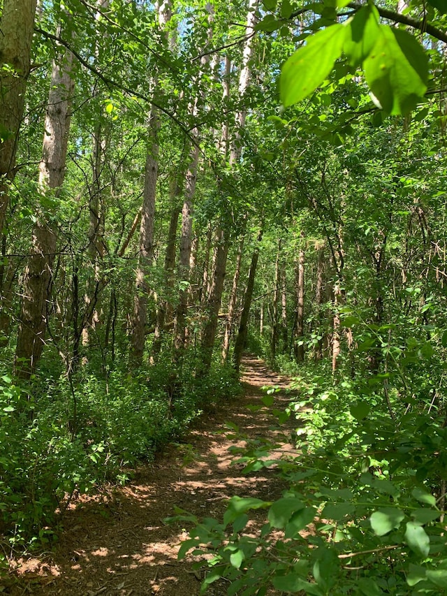 TBD 75th St NW, Oronoco Twp, MN 55901