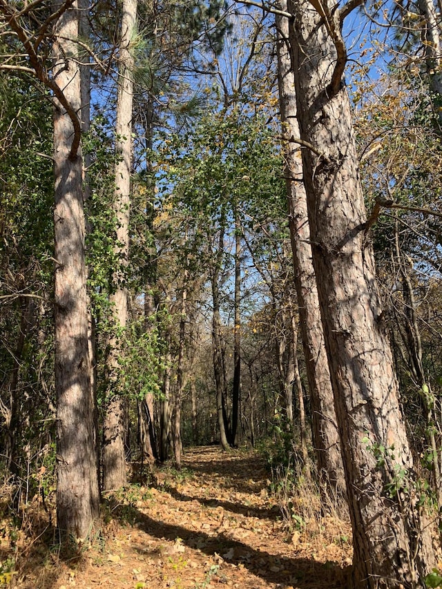 TBD 75th St NW, Oronoco Twp, MN 55901