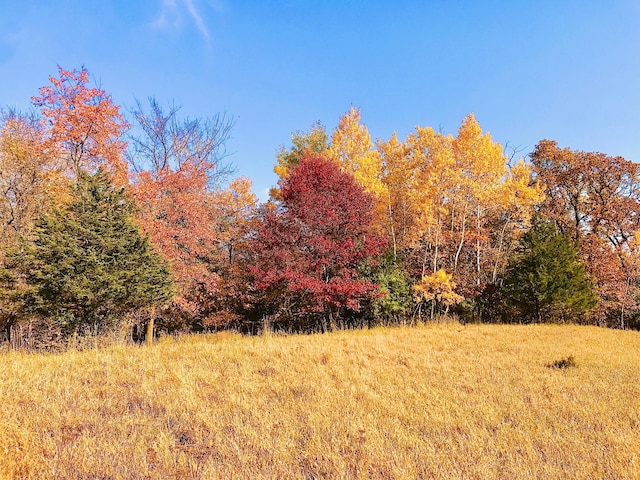 TBD 75th St NW, Oronoco Twp, MN 55901