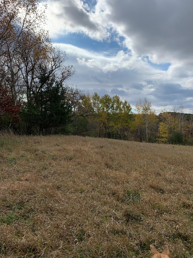 TBD 75th St NW, Oronoco Twp, MN 55901