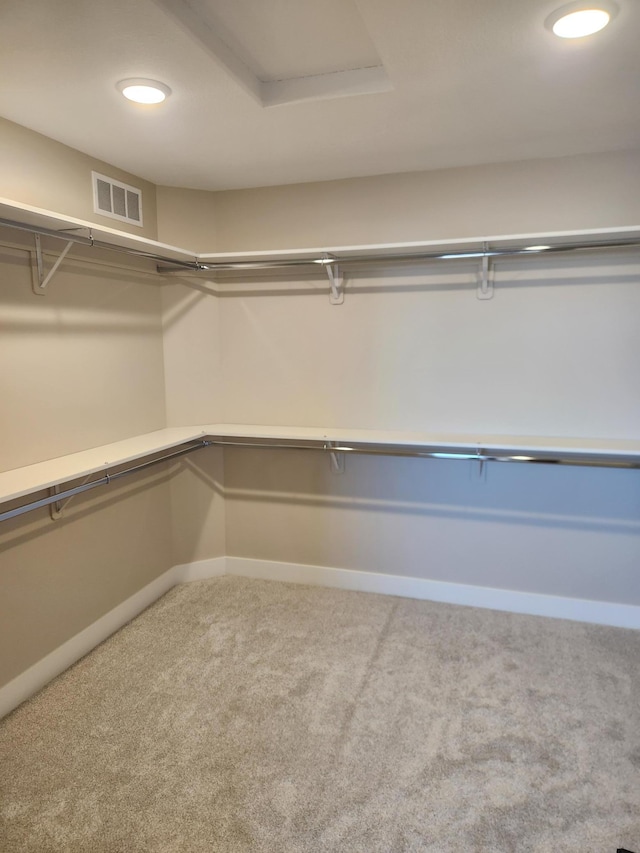 spacious closet featuring carpet floors