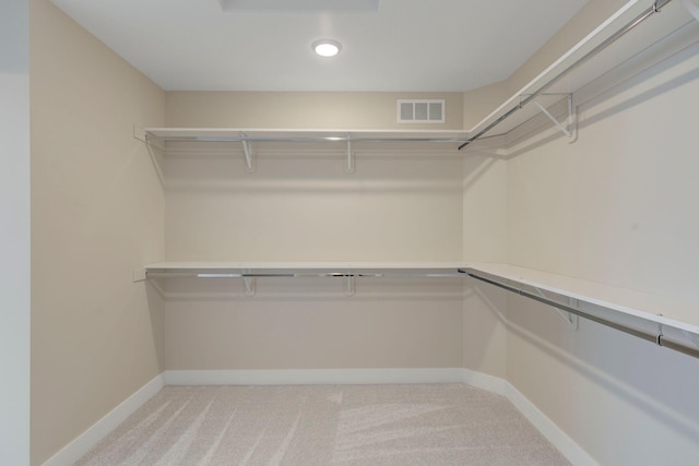 spacious closet featuring light colored carpet