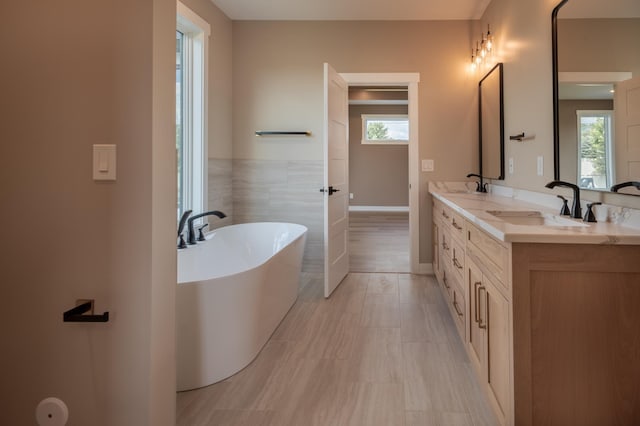 bathroom featuring vanity and a bathtub