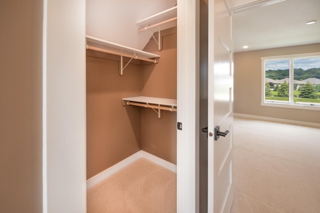 spacious closet with carpet flooring