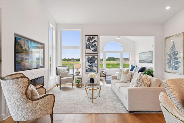 living room with ceiling fan, plenty of natural light, and wood-type flooring