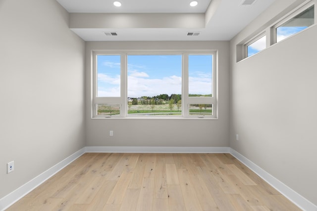 spare room with light hardwood / wood-style floors and a wealth of natural light