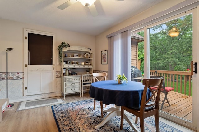 dining space featuring ceiling fan and light hardwood / wood-style flooring