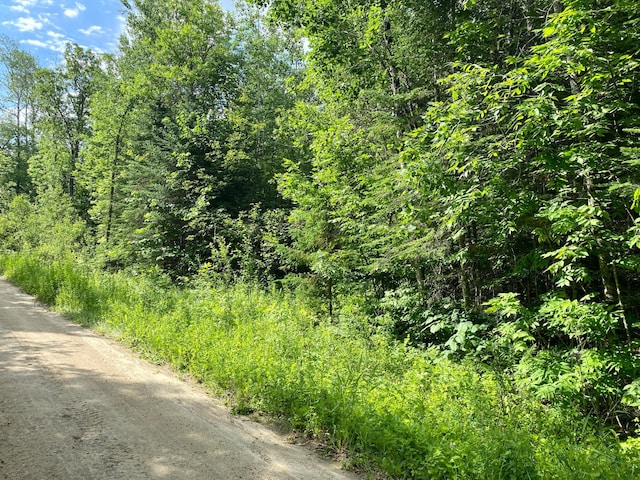 LOT18 Natures Trl, Federal Dam, MN 56641