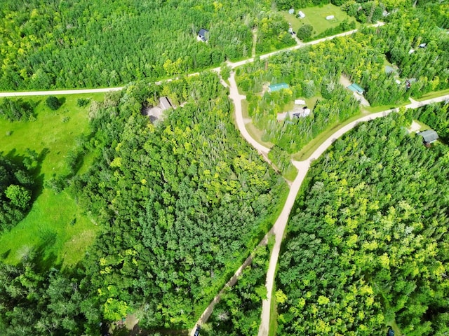 LOT18 Natures Trl, Federal Dam, MN 56641