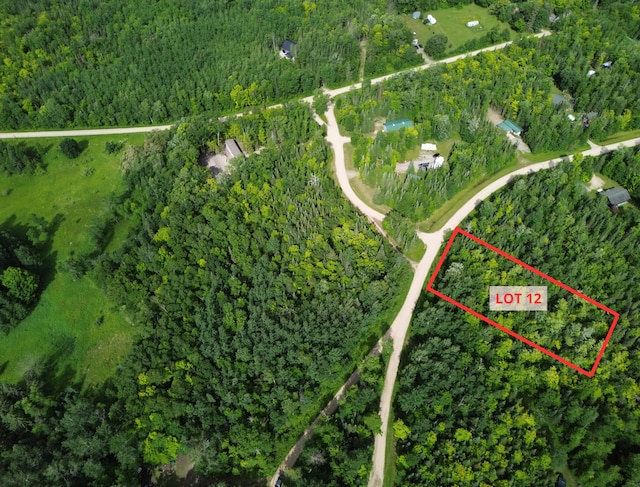LOT12 Natures Trl, Federal Dam, MN 56641