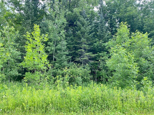 LOT12 Natures Trl, Federal Dam, MN 56641