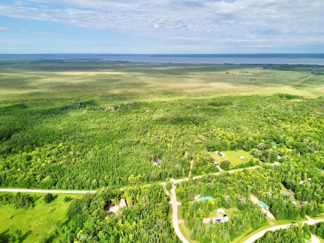 LOT12 Natures Trl, Federal Dam, MN 56641