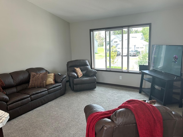 living room with carpet floors